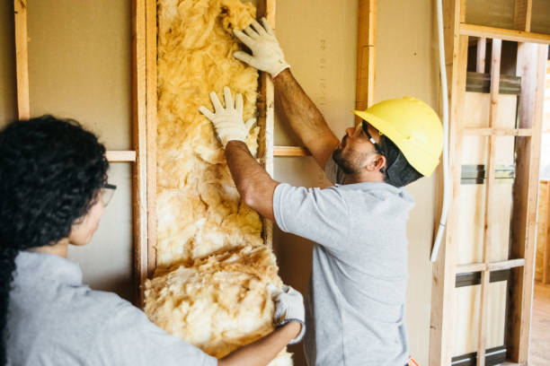 Professional Insulation in Jourdanton, TX